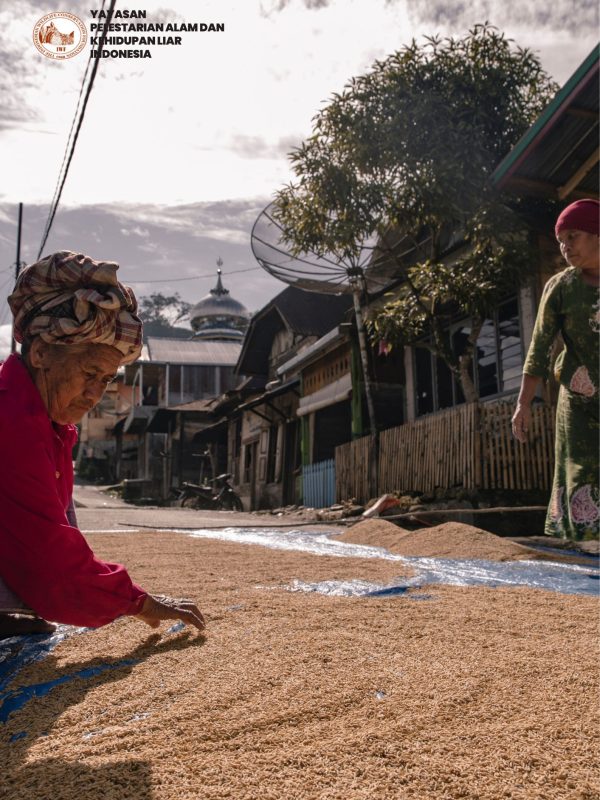 Yayasan Pelestarian alam dan kehidupan liar indonesia