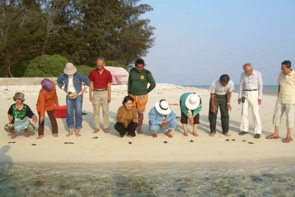 pelepasan tukik